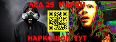 тгк Бийск