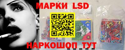 тгк Бийск