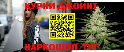 тгк Бийск