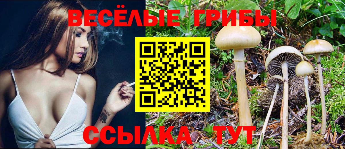 Галлюциногенные грибы прущие грибы Железногорск
